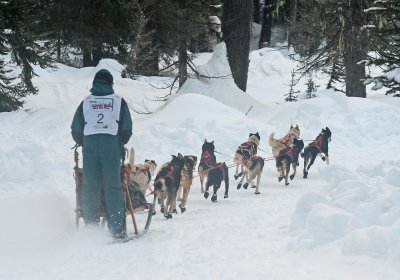 On The Trail, Steve Madsen