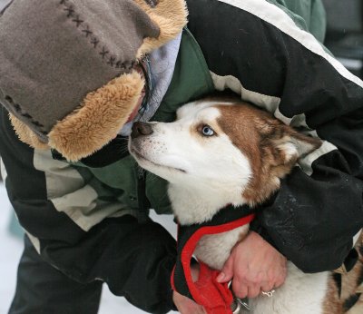 Musher And  Lead Dog  Before Race,,