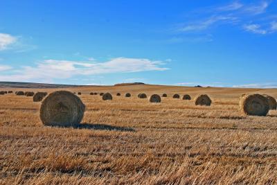 Rolled Hay in Eastern Washington