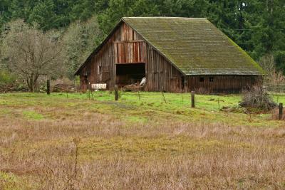 Morrell's Barn  from Dad's field