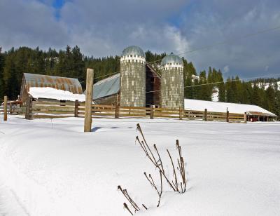  Old Dairy up Chumstick Valley