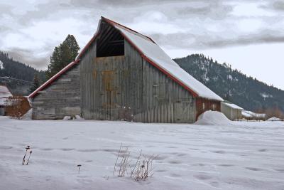  Old Barn in Plains Washington