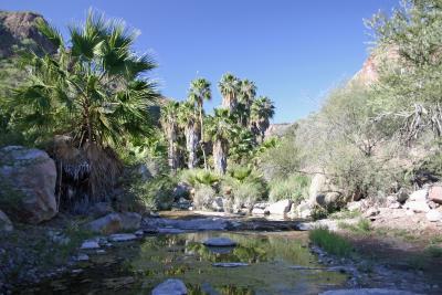 Oasis in the High Mountains above Loreto
