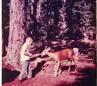  Monte feeding chip to Deer , Mt. Rainier ( 1964)