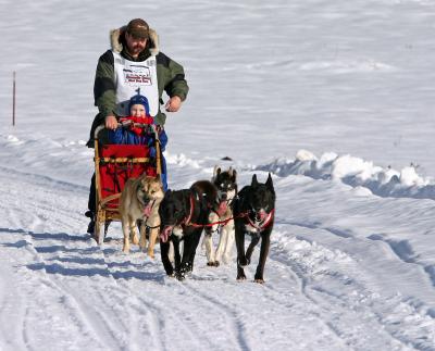  Little Musher helps Dad to a fast leg in 6 dog class! ( Jay Justus And Son )