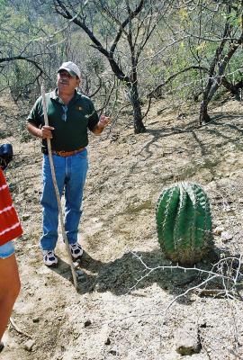 Barrel Cactus. ( Find This and Live ) Survival Trick # 27!!
