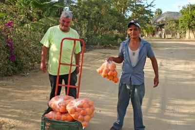  Two Dollar a Bag Oranges in Todos Santos