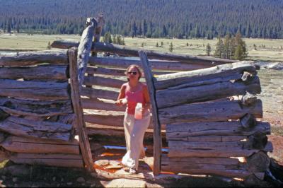  Day Hiker Fills Up At Natural Soda Spring  Near Tioga Pass