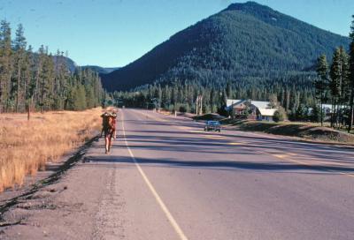  Highway 3 and Manning Park Lodge ( In Background)