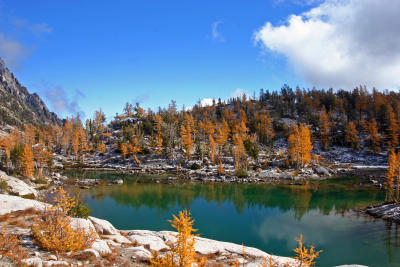  On  Golden Pond ( Well the trees are golden)