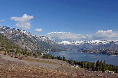Orchards on Chelan  ( Late Winter Day)