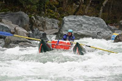  Rowing  Cat Eases Through Rapids