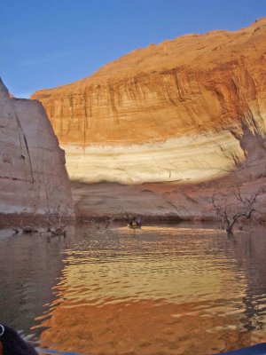 Kayaking Through Dead Forest As Water Recedes ( Lake Powell 2004)