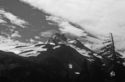  Mt. Jefferson From PCT, August 1977