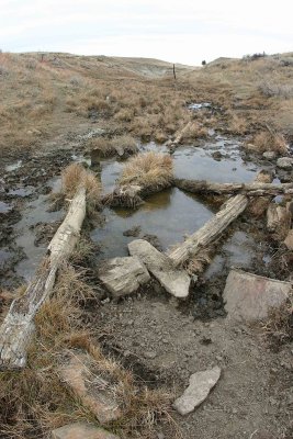  Eastern Montana  Drinking Water ( Natural Springs)