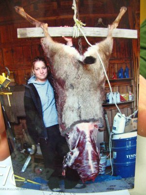  Huge body of Michele's Buck