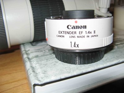  Canon 1.4x Tele Converter.  ( A Must Have)