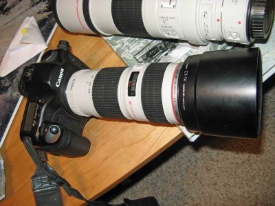  Canon F4 70mm-200mm  L  Lens ( 67mm Filters)