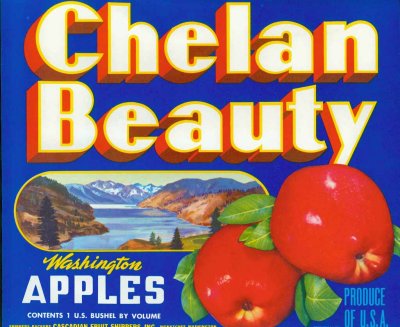 Chelan Beauty Apples copy.jpg