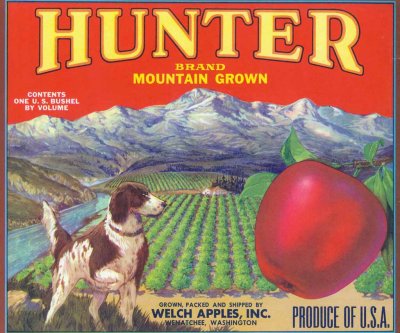 Hunter Brand   Welch  Apples ( Wenatchee Packing House)