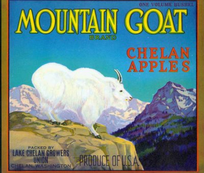  Mountain Goat ( Chelan )