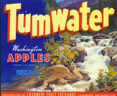 Tumwater Apples  ( Cashmere )