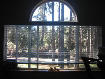 jims_house