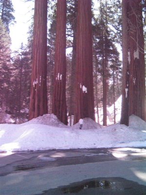 IMG_0061 (Large).JPG