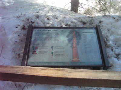 IMG_0078 (Large).JPG