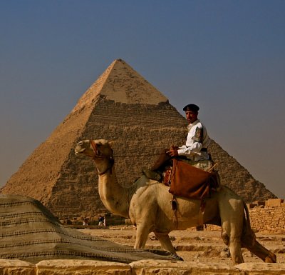 camel pyramids.jpg