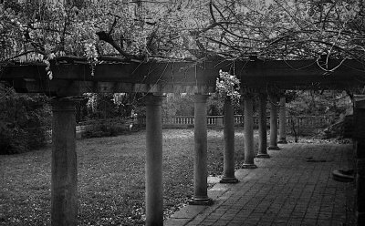 Portico and Blossoms