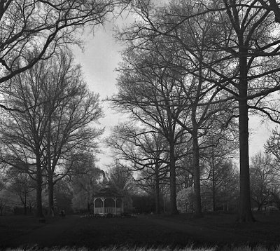Emerging from Winter