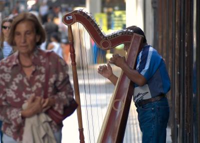 Street Harpist