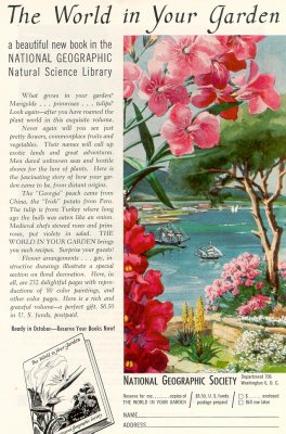 06.1957.004.tif