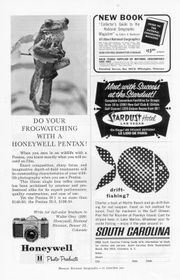 04.1962.032.tif