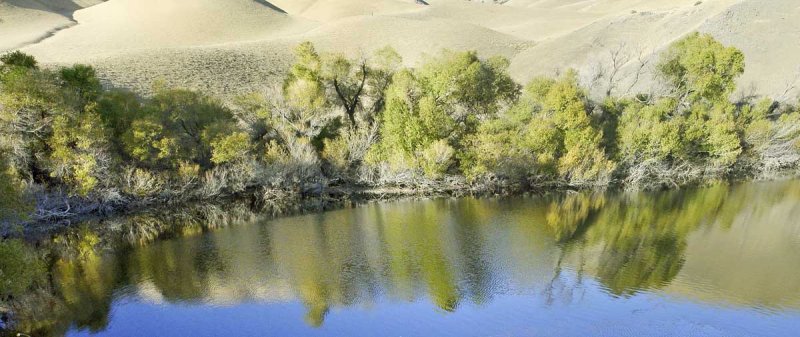 Reflective Pond