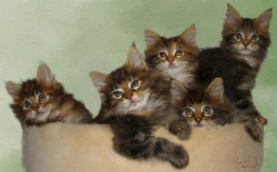 KittensLarge.jpg