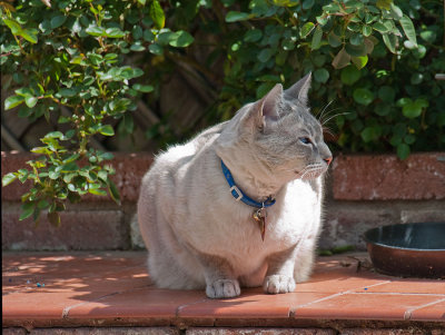 Enjoying Spring Sunshine