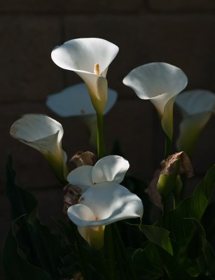 g3/39/6739/3/123863411.S3eKWtsr.jpg