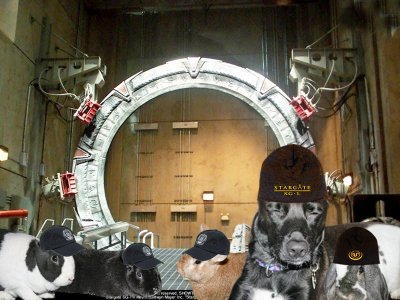Stargate Atlantis Crew