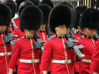 Welsh Guards