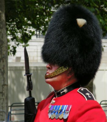 Welsh Guards Sergeant