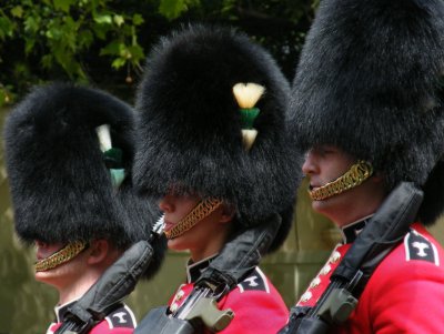 Welsh Guards