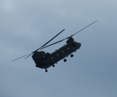 Chinook