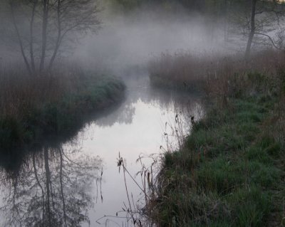 Misty morning River Narewka, Bialowieza