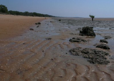 The Beach at West Alligator Head.