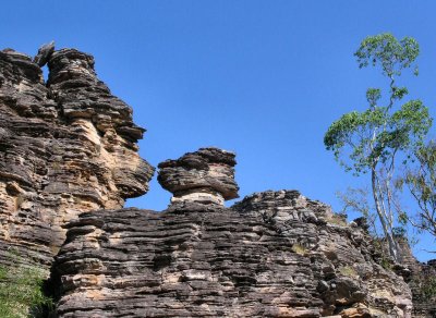 Sandstone strata and tree at Ubirr Rocks