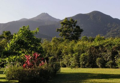 Mount Thornton from Ice Cream Company Daintree