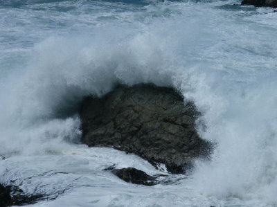 Pacific Waves, Kaikoura