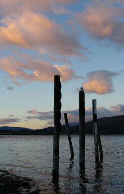 Lake Te Anau, Gull and sunrise sky